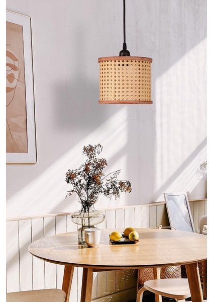 UltraNova fiyatları