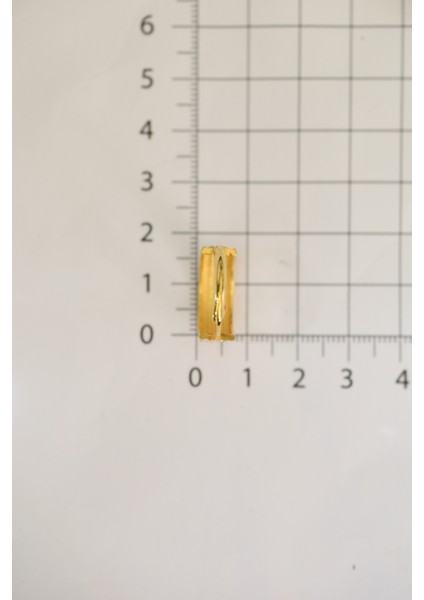 14 Ayar Altın Üç Sıra Ajda Halka Küpe fiyatları