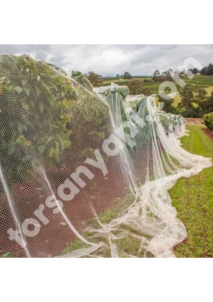 Kuş Ağı – 2 cm Gözli – Kuş Filesi – 1,5 mm Ip – Beyaz Renk – Balkon Filesi - 3 Metre x 5 Metre
