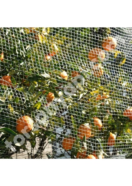 Kuş Ağı – 2 cm Gözli – Kuş Filesi – 1,5 mm Ip – Beyaz Renk – Balkon Filesi - 3 Metre x 5 Metre