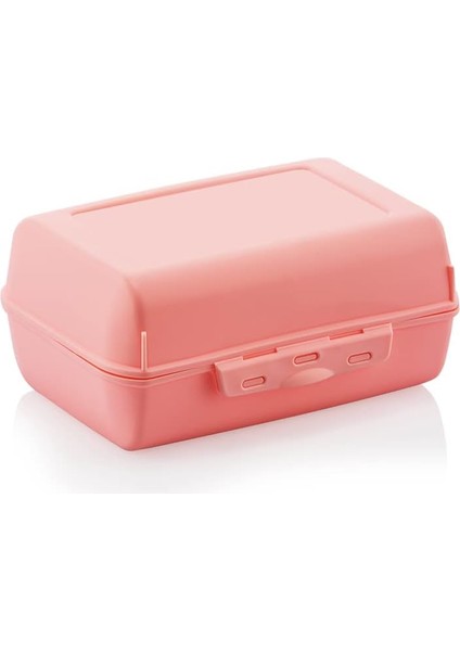 Beslenme Kabı, Lunch Box, Kilitli Beslenme Kutusu (Pudra)