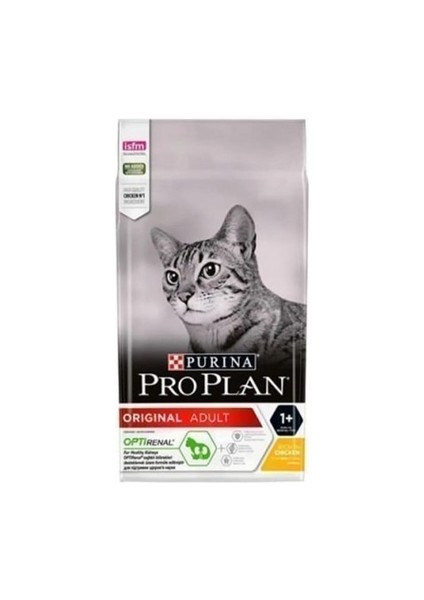 Delicate Kuzu Etli Hassas Yetişkin Kuru Kedi Maması 3 kg (Açık)