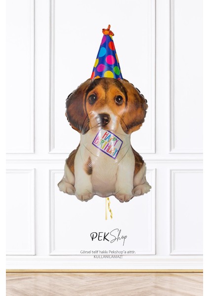 Sevimli Doğum Günü Köpeği Balon Birthday Puppy Minik Balon 14INÇ fiyatları
