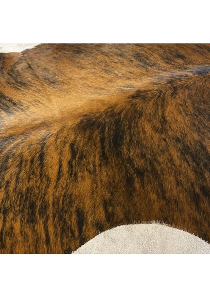 Hakiki Deri Dana Postu Egzotik 190 x 215 - 0401000414 modelleri