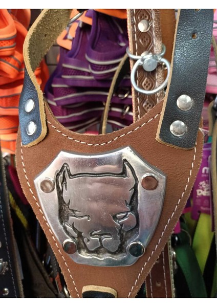 Luxury Deri Köpek Gögüs Tasması 1 Adet