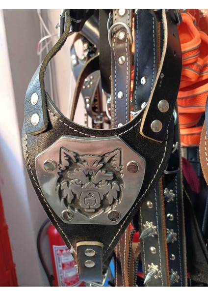 Luxury Deri Köpek Gögüs Tasması 1 Adet
