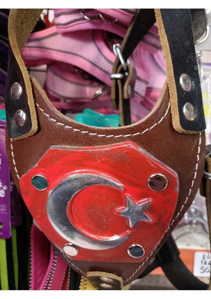 Luxury Deri Köpek Gögüs Tasması 1 Adet