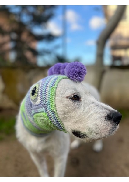 Luxury Eye Of The Monster Köpek Beresi 1 Adet