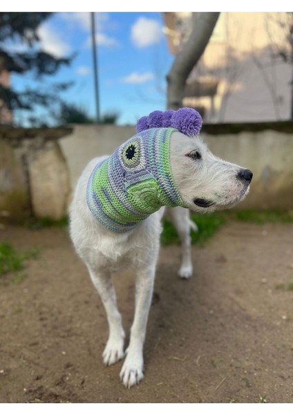 Luxury Eye Of The Monster Köpek Beresi 1 Adet