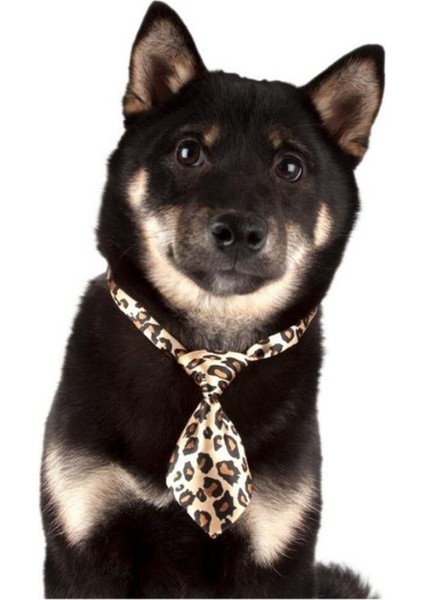 Luxury Show Tech Köpekler Için Desenli Kravat Süs 10 Parça 1 Adet