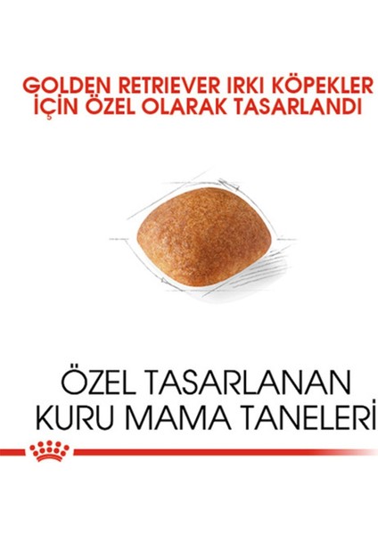 Luxury Royal Canin Golden Retriever Yetişkin Köpek Maması 12 kg 1 Adet