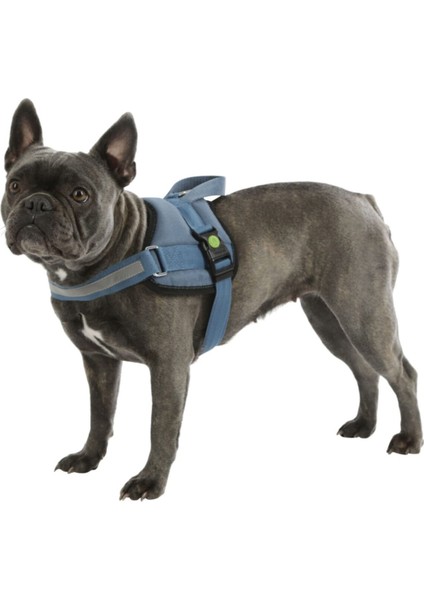 Luxury Belden Köpek Tasması Maestro 2.0 - S 45-60 cm x 15 mm 1 Adet