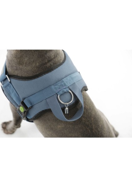 Luxury Belden Köpek Tasması Maestro 2.0 - S 45-60 cm x 15 mm 1 Adet