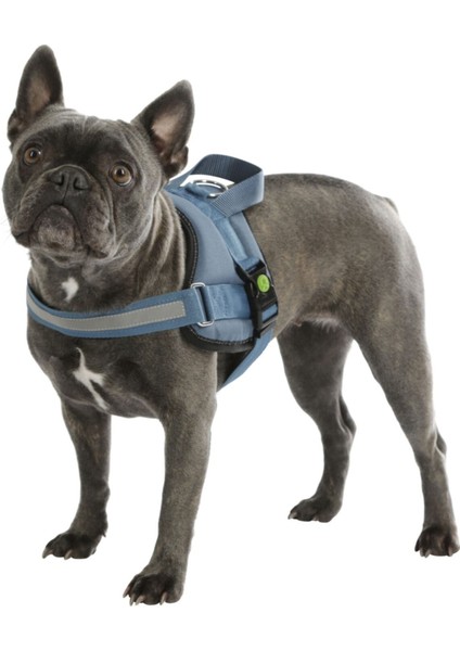Luxury Belden Köpek Tasması Maestro 2.0 - S 45-60 cm x 15 mm 1 Adet