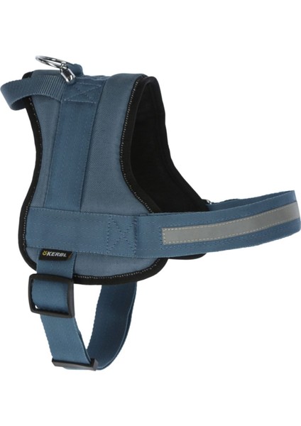 Luxury Belden Köpek Tasması Maestro 2.0 - S 45-60 cm x 15 mm 1 Adet