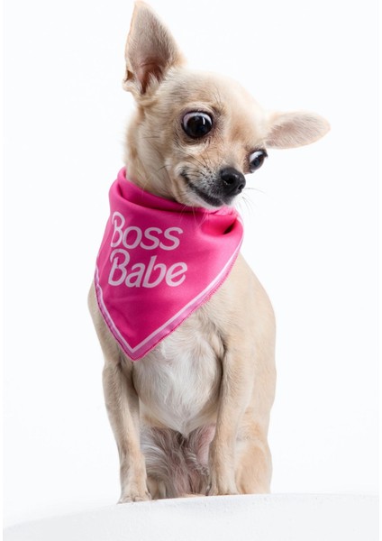 Luxury Boss Babe Köpek Bandana M 1 Adet