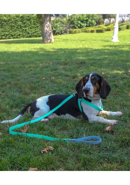 Luxury Su Geçirmez Biothane Köpek Göğüs Tasması Seti 1 Adet