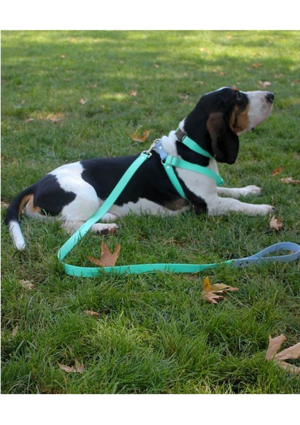 Luxury Su Geçirmez Biothane Köpek Göğüs Tasması Seti 1 Adet