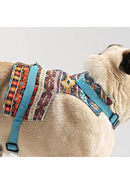 Luxury Patipatron Kaçış Önleyici Ayarlanabilir Küçük Irk ve Büyük Irk Köpek Göğüs Tasma Seti ve Gezdirme I 1 Adet