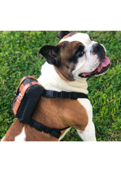 Luxury Design Köpek Göğüs Tasması Sırt Çantası Bond Serisi 1 Adet