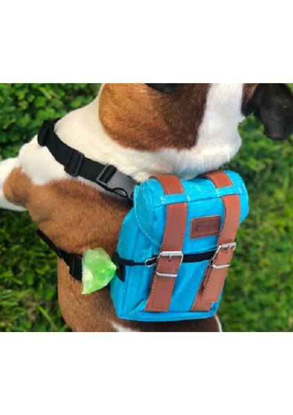 Luxury Design Köpek Göğüs Tasması Sırt Çantası Bond Serisi 1 Adet