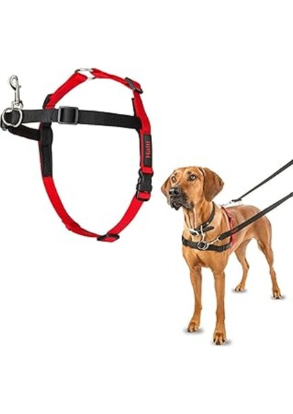 Luxury Company Of Animals Halti Köpekler Için Önden Kontrollü Göğüs Tasması, Büyük Boy 1 Adet