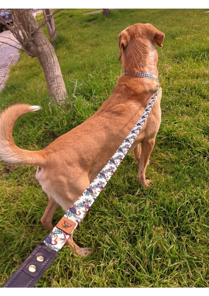 Luxury Toco Köpek Tasma Seti 1 Adet