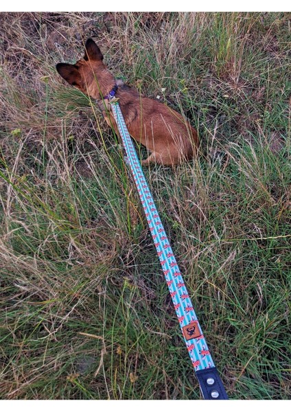 Luxury Giraffe Köpek Tasma Seti 1 Adet