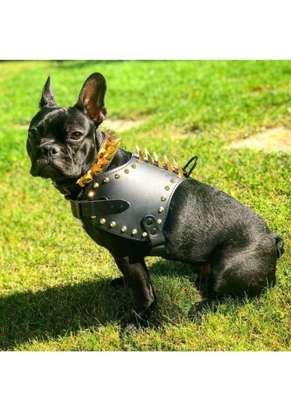 Luxury Deri Köpek Sırt Tasması Security 1 Adet