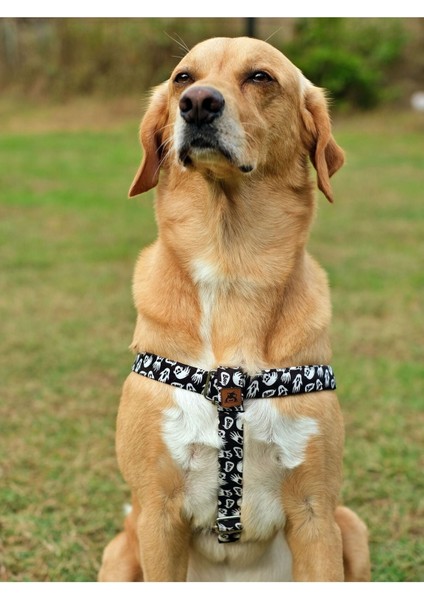 Luxury Boo Köpek Tasma Seti 1 Adet