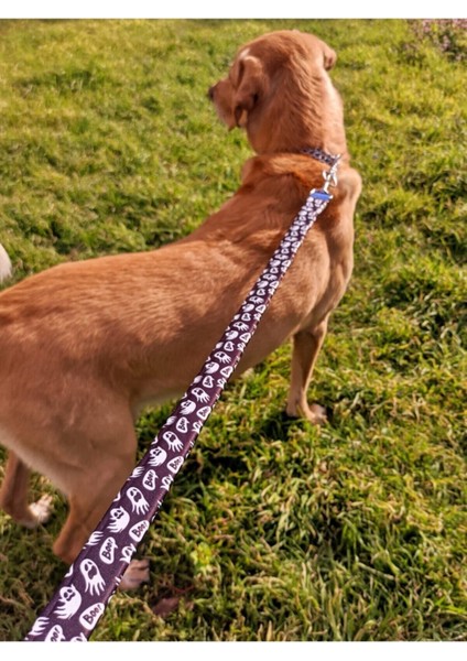 Luxury Boo Köpek Tasma Seti 1 Adet