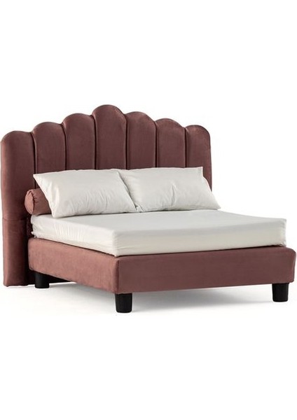 Luxury Evcil Hayvan Yatağı Harmony Paw Berry 1 Adet