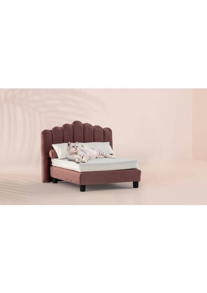 Luxury Evcil Hayvan Yatağı Harmony Paw Berry 1 Adet