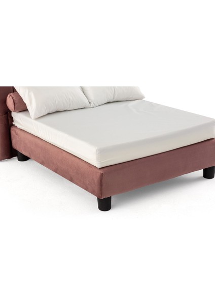Luxury Evcil Hayvan Yatağı Harmony Paw Berry 1 Adet