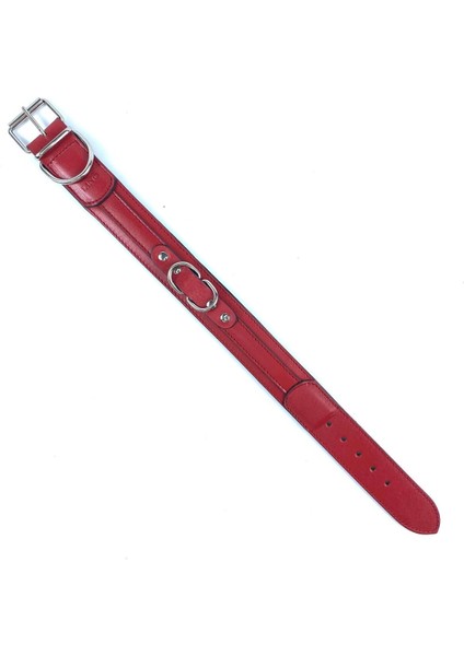Luxury Deri Çift Halkalı Boyun Tasması 4cm 1 Adet
