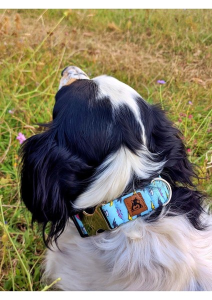 Luxury Lightning Köpek Tasma Seti 1 Adet