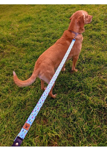 Luxury Lightning Köpek Tasma Seti 1 Adet