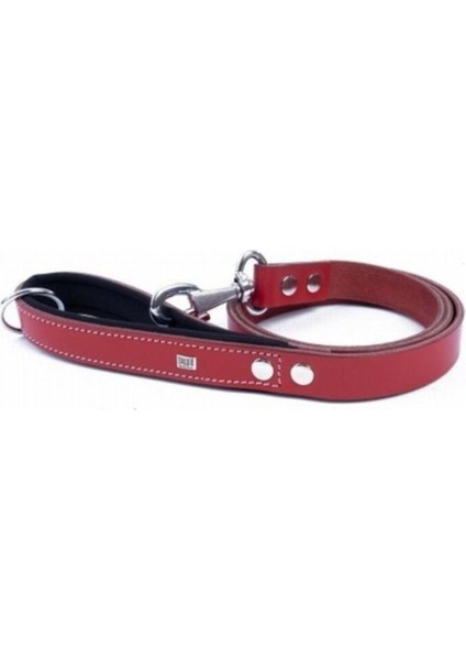 Luxury Doggie Konfor Deri Köpek Gezdirme Tasması Medium Kırmızı 3X100 cm 1 Adet