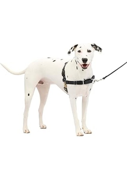 Luxury Petsafe Easy Walk Köpek Koşum Takımı 1 Adet