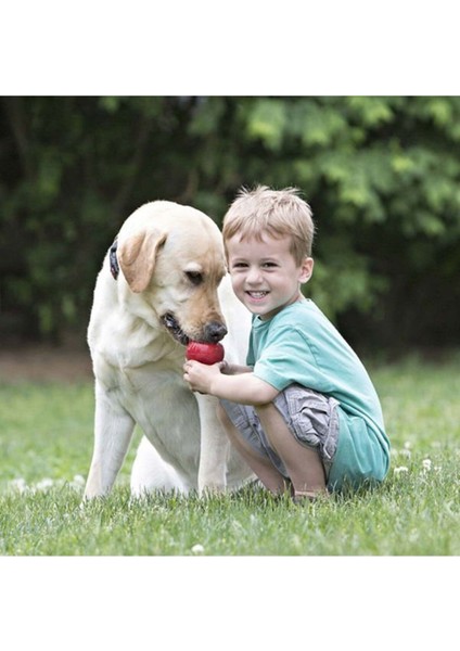 Luxury Classic Ödül Hazneli Köpek Oyuncağı Xxlarge 15.5 cm 1 Adet