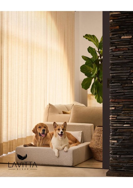 Luxury Lavitta Kedi&köpek Yatağı 1 Adet