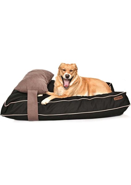 Luxury Köpek Yatağı ve Yastık Takımı - Spock Large 1 Adet