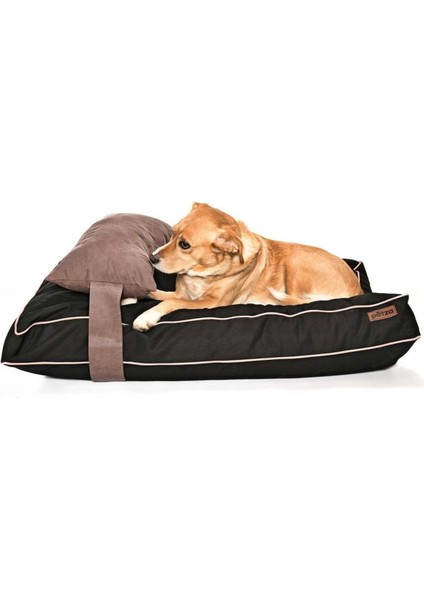 Luxury Köpek Yatağı ve Yastık Takımı - Spock Large 1 Adet