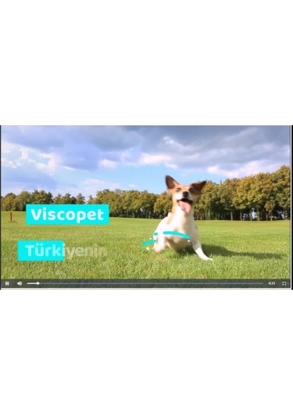 Luxury Visco Dolgulu Çift Taraflı ve Fermuarlı Yıkanabilir Buyuk Köpek Yatağı XXL-85X125X10CM 1 Adet