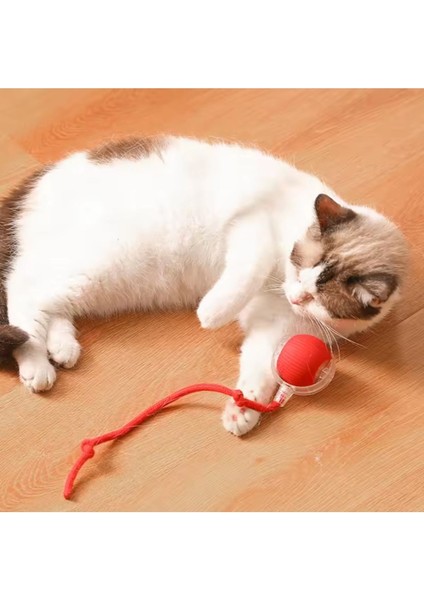 Luxury Otomatik Akıllı Kedi Oyuncak Topu - USB Şarjlı Hareketli Top 1 Adet fırsatları