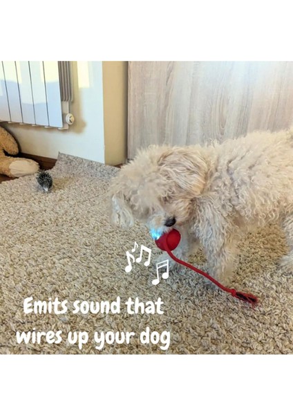 Luxury Otomatik Akıllı Kedi Oyuncak Topu - USB Şarjlı Hareketli Top 1 Adet indirimleri