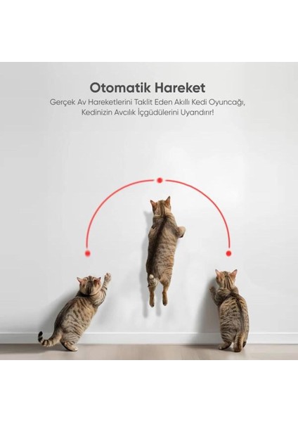 Luxury Akıllı Lazer Kedi Oyuncağı 1 Adet