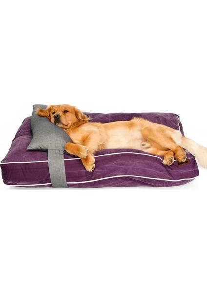 Luxury Köpek Yatağı ve Yastık Takımı - Evan Large 1 Adet