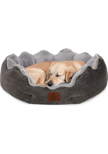 Luxury Scarlet Kedi Köpek 1 Adet