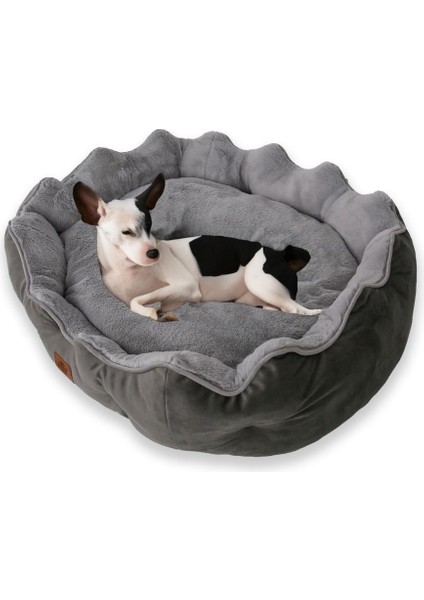 Luxury Scarlet Kedi Köpek 1 Adet fiyatları